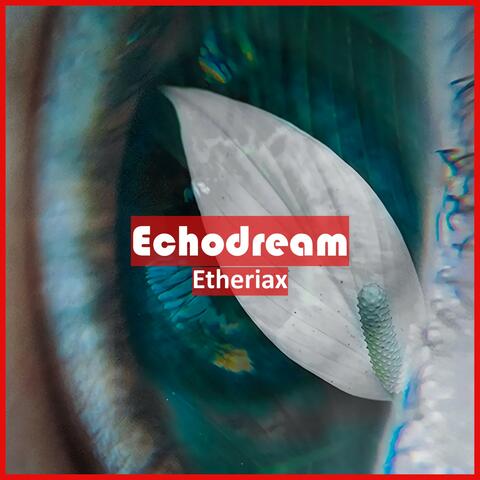 Echodream