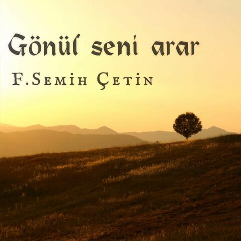 F. Semih Çetin