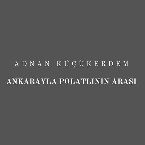 Ankarayla Polatlının Arası