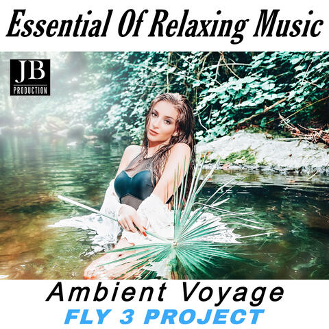 Essential Of Relaxing Music