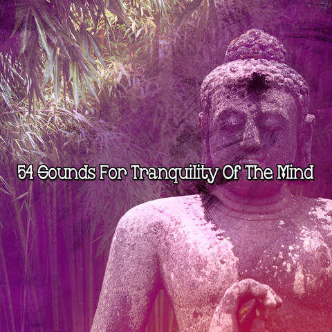 54 Sounds For Tranquility Of The Mind