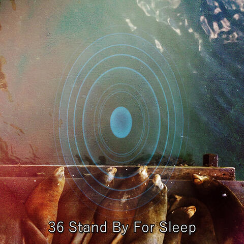 36 Stand By For Sleep