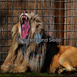 Plot To Sleep