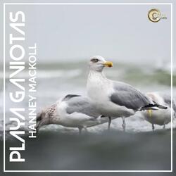 PLAYA GAVIOTAS