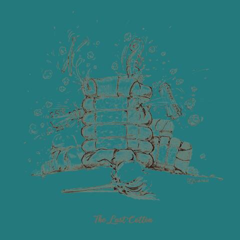 The Last Cotton