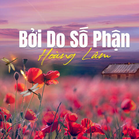 Bởi Do Số Phận