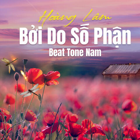 Bởi Do Số Phận