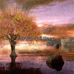 Drifted Into Dreams