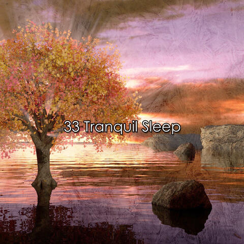 33 Tranquil Sleep