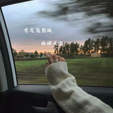 有爱自然诚-