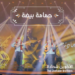 حمامة بيضة