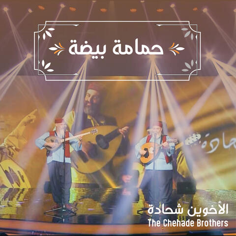حمامة بيضة