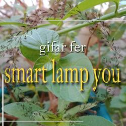 service car smart lamp you