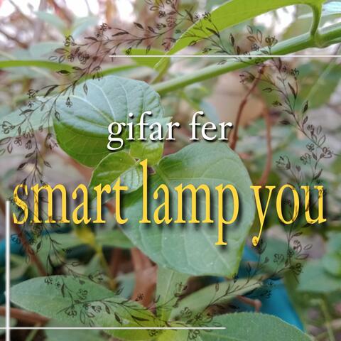 smart lamp you