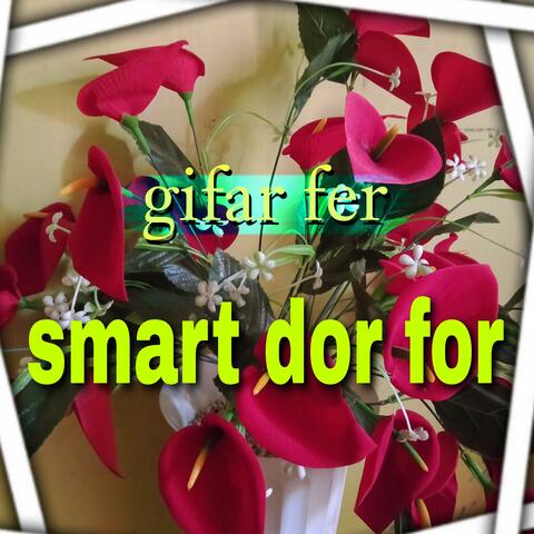 smart dor for