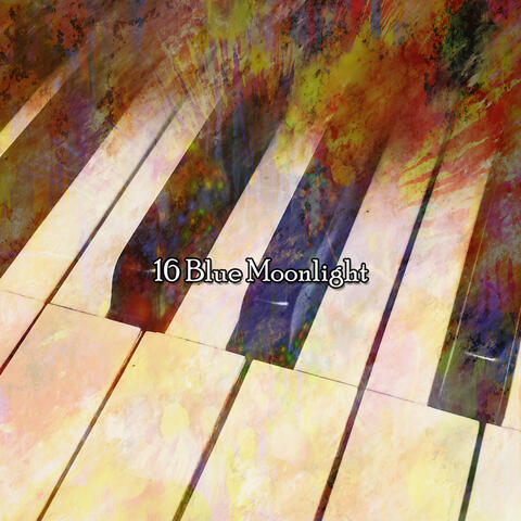 16 Blue Moonlight