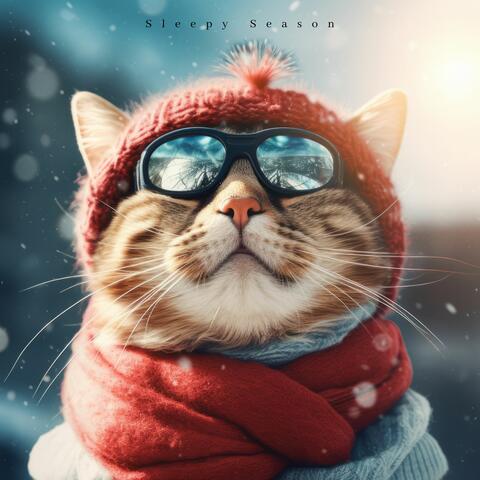 Music For Cats & Cat Music & Music for Pets