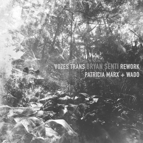 Vozes Trans
