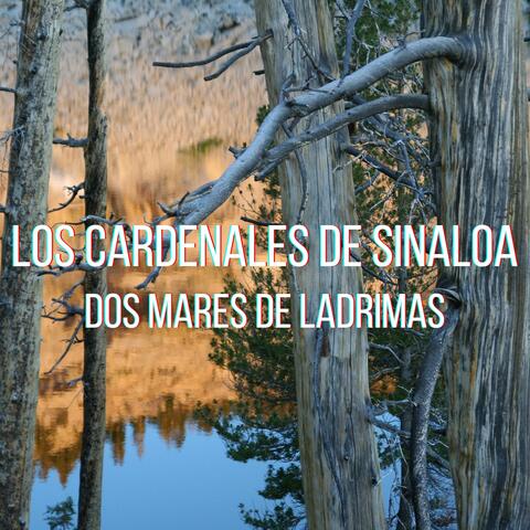 Dos Mares De Lagrimas