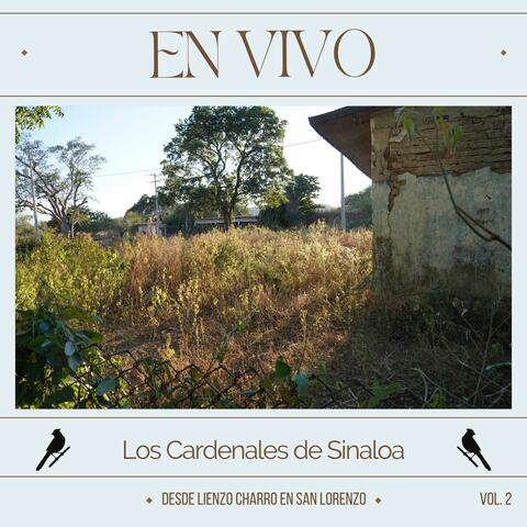 Desde Lienzo Charro en San Lorenzo, Vol. 2