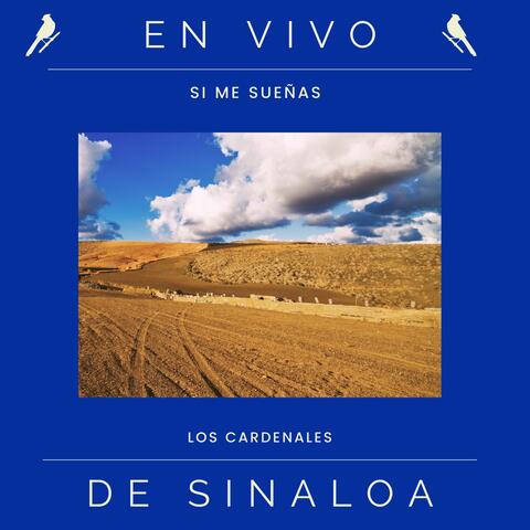 Si Me Sueñas