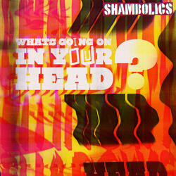 What's Going On in Your Head?