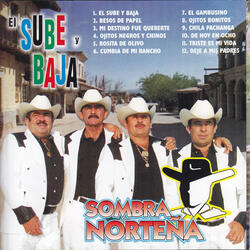 Mi destino fue quererte