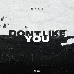 Don't Like You