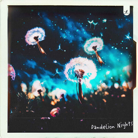 Dandelion Nights