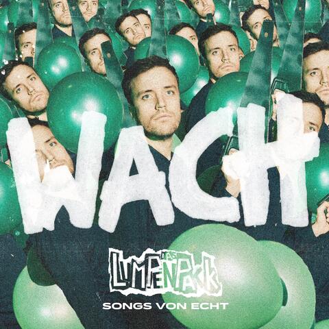 Songs von Echt