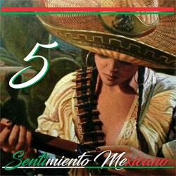 Tepic Es Mi Tierra
