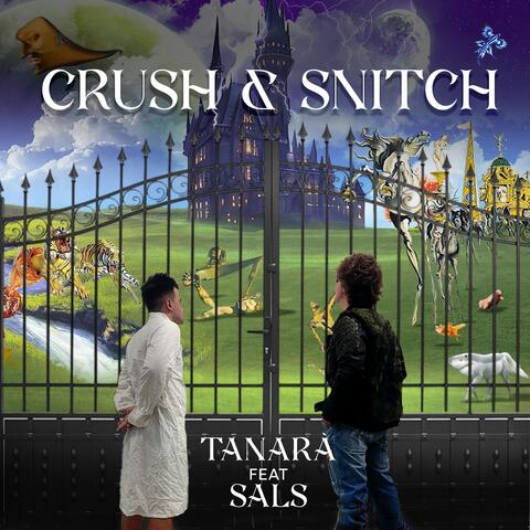 Crush & Snitch