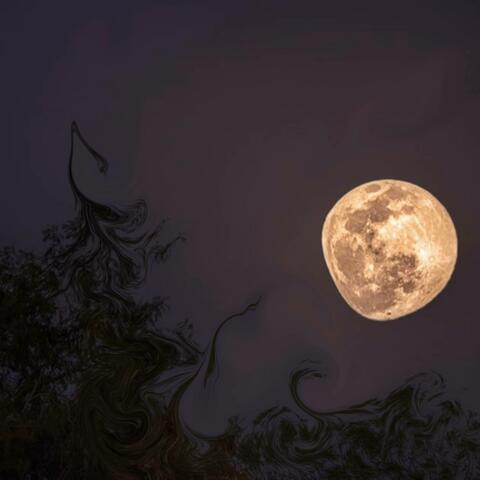Noche de luna llena