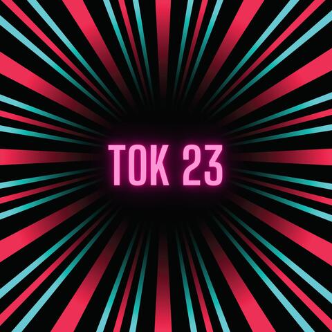 Tok 23, Vol. 4