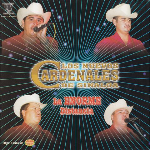 Los Nuevos Cardenales de Sinaloa