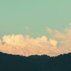 Crisp Air