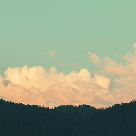 Crisp Air