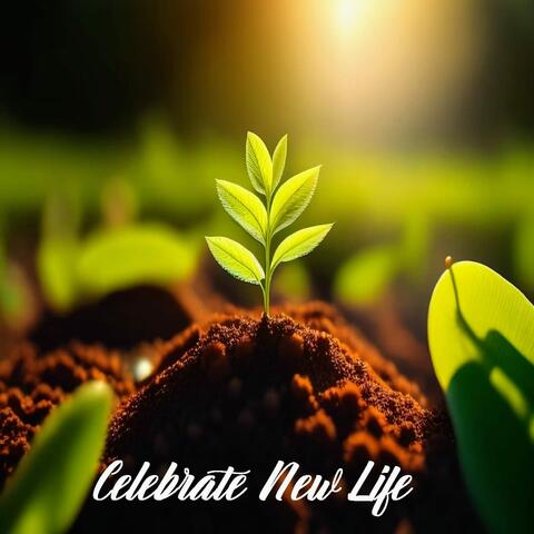 Celebrate New Life