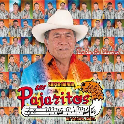 Te He de Querer
