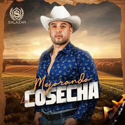 Mejorando La Cosecha