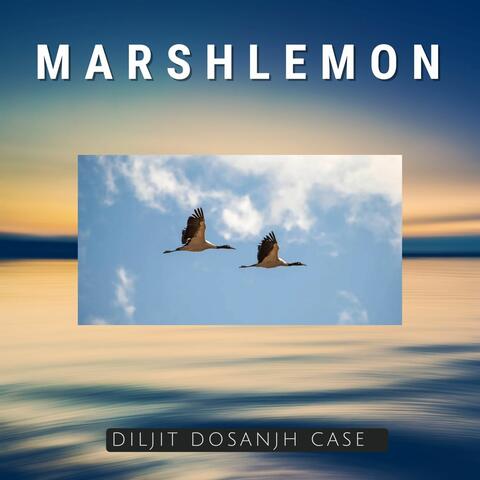 Diljit Dosanjh Case