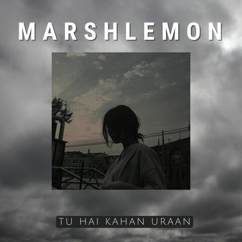 Tu Hai Kahan Uraan