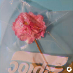 Momentary