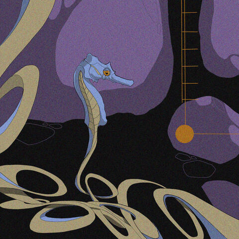 Seahorse