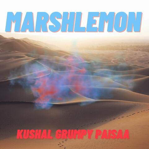 Kushal Grumpy Paisaa