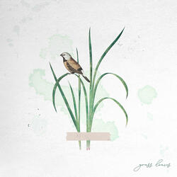 grass leaves