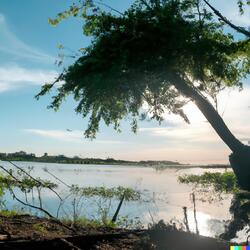 Contigo Cambió Mi Vida
