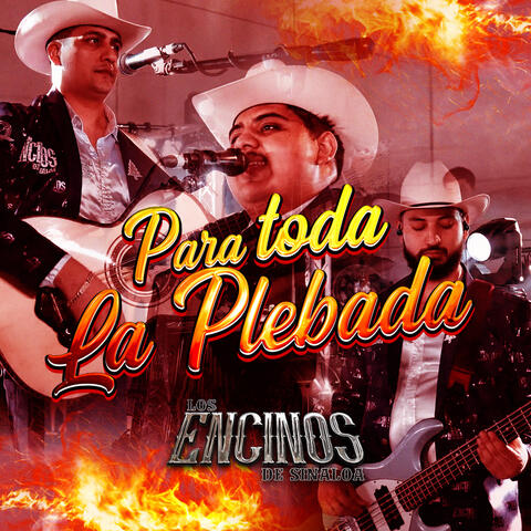 Para Toda La Plebada