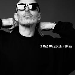 A Bird With Broken Wings