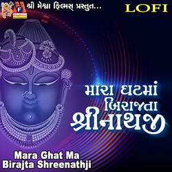 Mara Ghat Ma Birajta Shreenathji